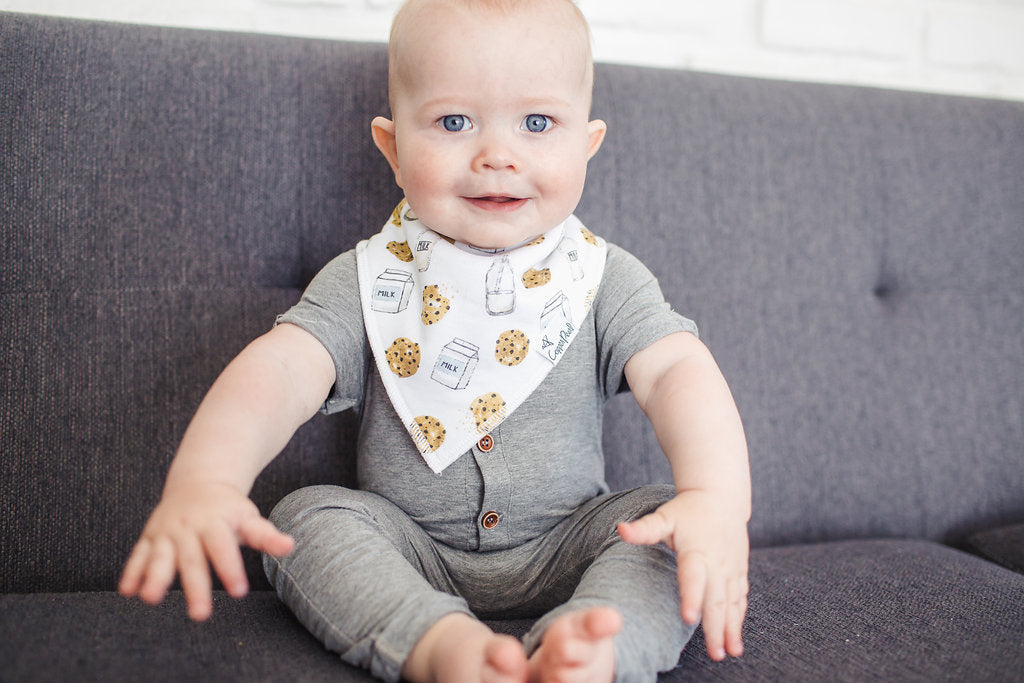 Chip Bandana Bib
