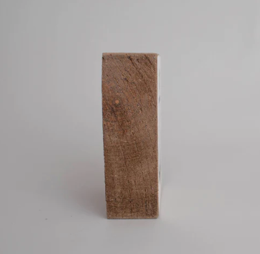 Seagull With A French Fry Decorative Wooden Block