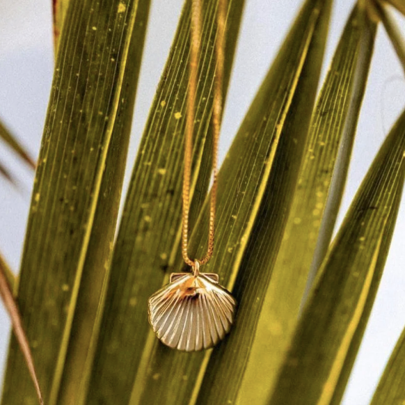 Beachy Shell Necklace - Gold