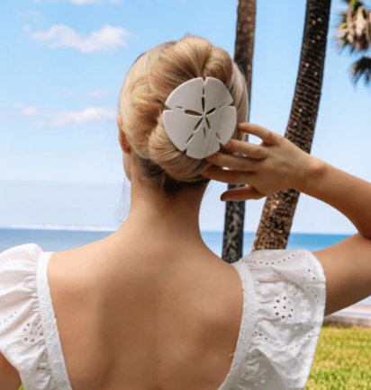 Sand Dollar Flat Clip