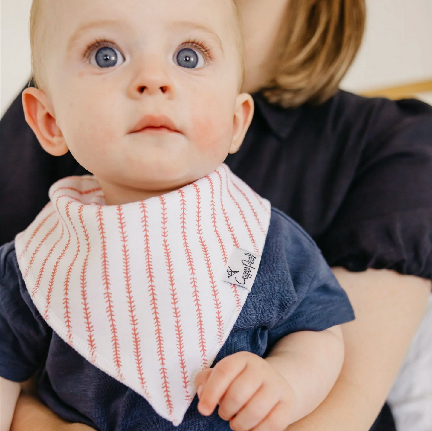 Slugger Bandana Bib