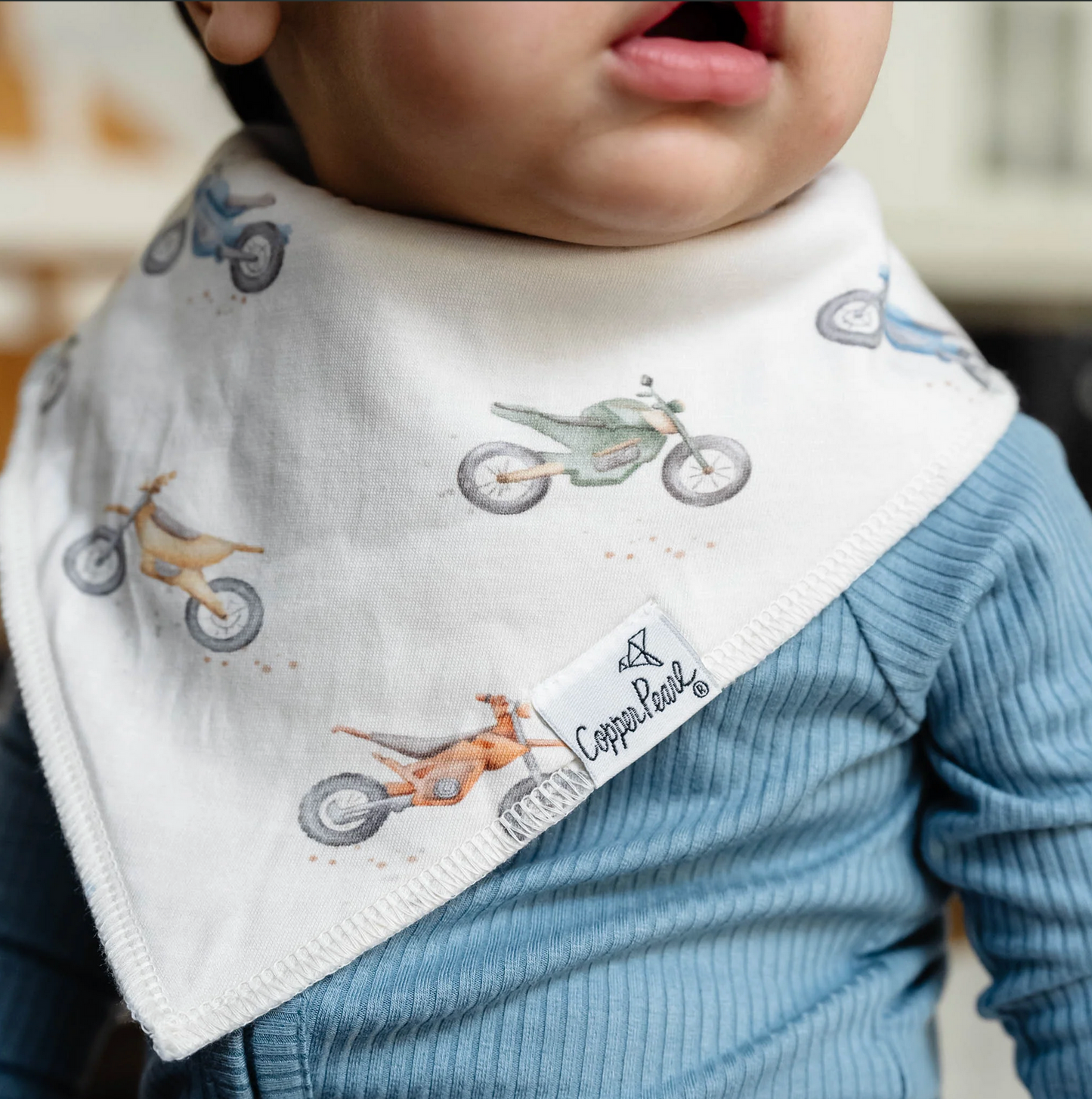 Ryder Bandana Bib