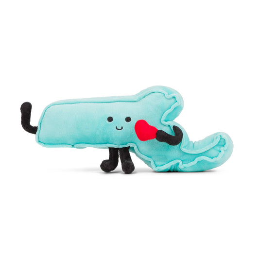 Massachusetts State Plush Doll