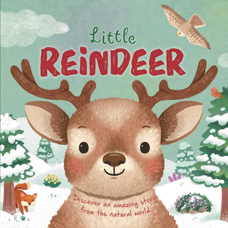 Little Reindeer Board Book