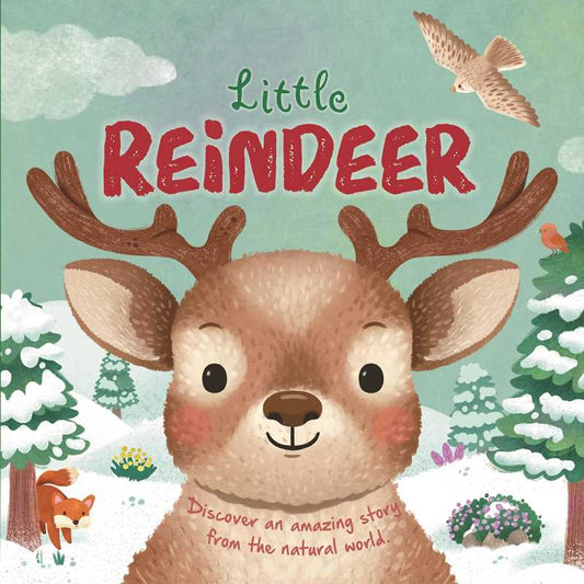Little Reindeer Board Book
