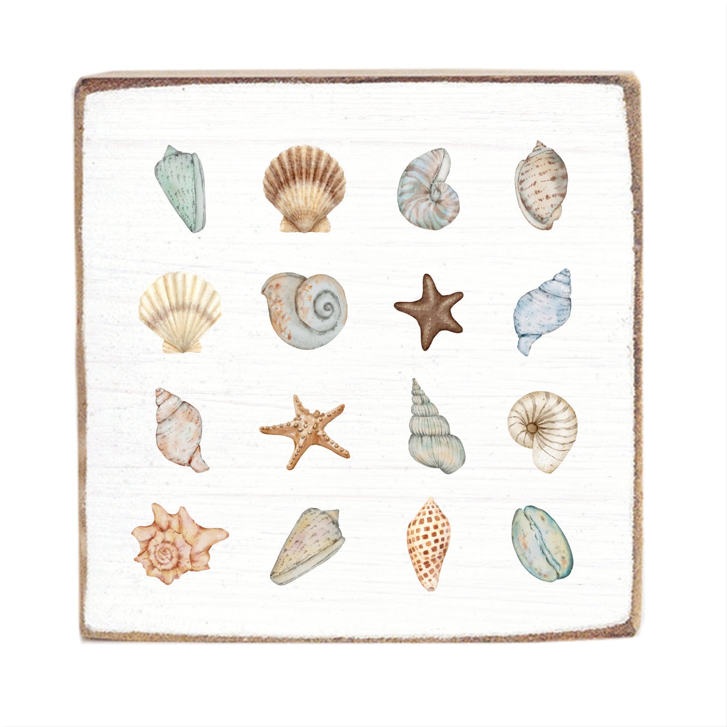Shell Icons Block Sign