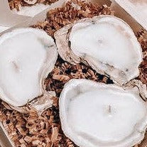 Oyster Tealight Gift Set of 3