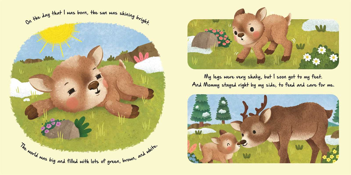 Little Reindeer Board Book