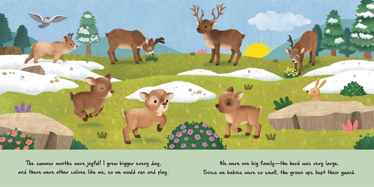 Little Reindeer Board Book