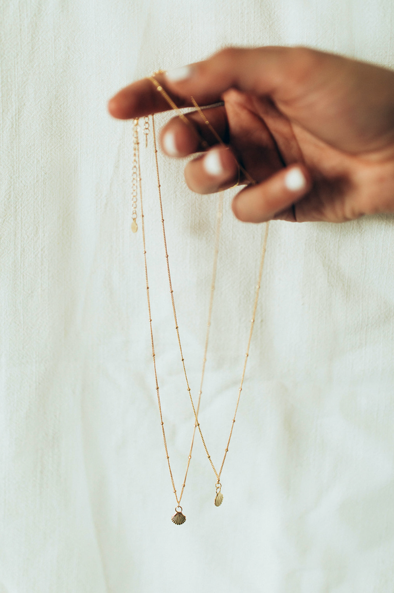 Arianna Shell Necklace: 14k Gold