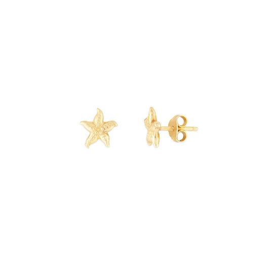 STARFISH STUDS GOLD: GOLD