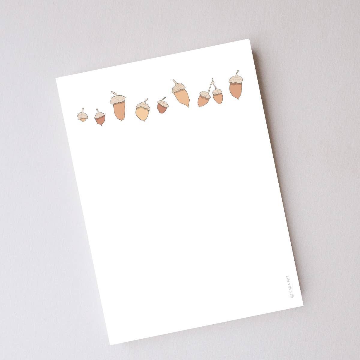 Acorns Notepad